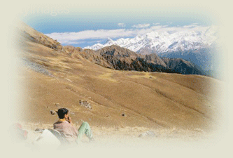 Trekking in Garhwal Himalayas( Valley of Flower Trek)